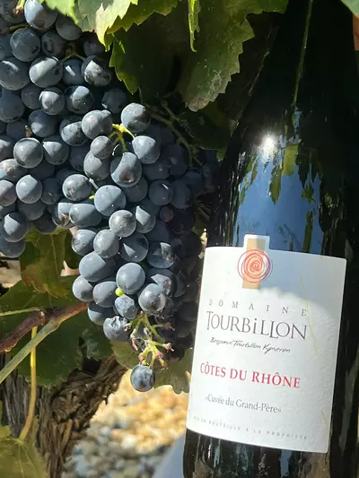 Côtes du Rhône 
Rouge