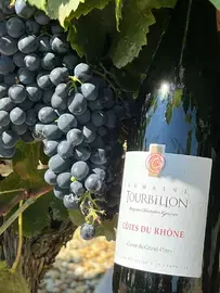 Benjamin Tourbillon, Winzer, enthüllt sein Weingut im Herzen des Luberon