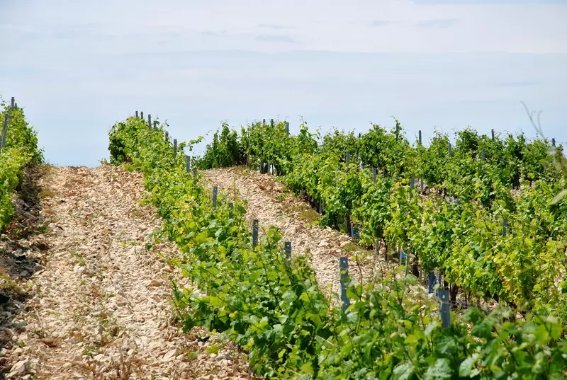 Châteauneuf-du-Pape